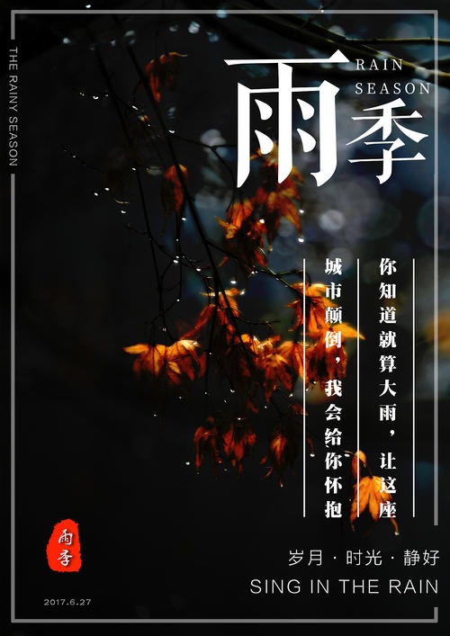 做个中国银行流水电子版PDF